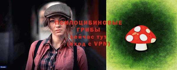 молекула духа Каменногорск