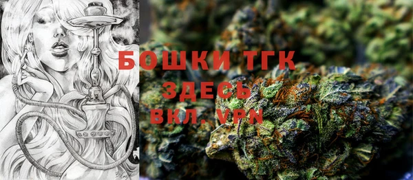 молекула духа Каменногорск