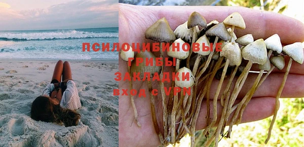 молекула духа Каменногорск