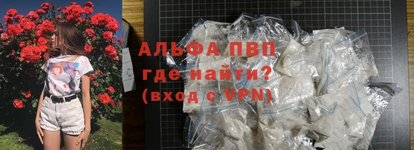 молекула духа Каменногорск