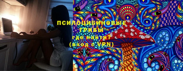 молекула духа Каменногорск