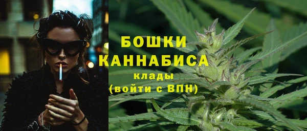 молекула духа Каменногорск