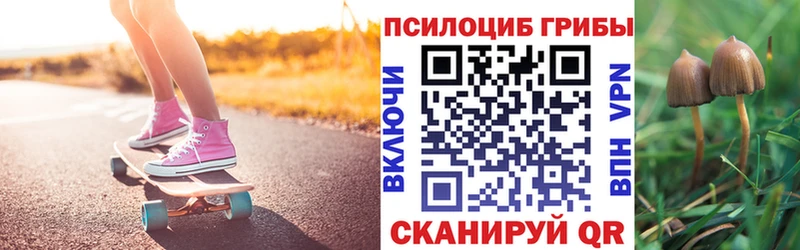 Псилоцибиновые грибы Psilocybine cubensis  Купить где  Кирс 